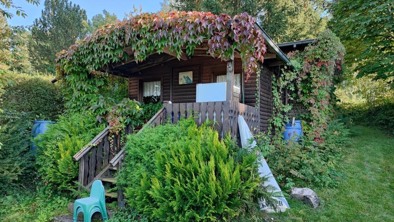 Cafe Pension Sonnenkanzel Staatsbad Brückenau Kültér fotó
